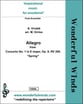 Allegro from Spring C Flute Quintet cover